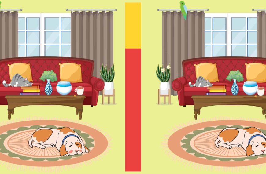 Temukan Perbedaannya: Dapatkah Anda menemukan 5 perbedaan dalam pemandangan ruang tamu dalam waktu kurang dari 15 detik